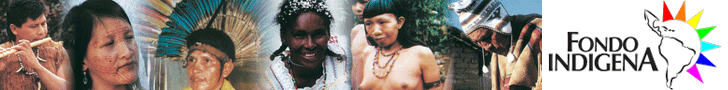 /2013/02_FEB/fondoindigena.gif